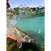 Valkyrie 100 Parça Kutulu İğneli Yumuşak Silikon Kurtçuk Olta Balık Yemi - 4 Renk - 8