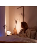 Philips Hue  Iris - Beyaz - 5