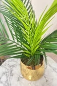 Nettenevime Yapay Çiçek Palmiye Areka Yapay Bitki Gold Metal Saksı Salon Çiçeği 9 Yaprak 50cm thumbnail 4