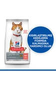 Hill’s  Sterilised Somon Balıklı Kısırlaştırılmış Kedi Maması 15 Kg thumbnail 2