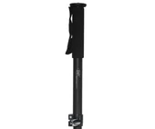Dp PRO 8 Video Kamera Profesyonel Monopod 170CM - 2
