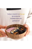 Naturiga Glutensiz Yaban Mersini Mango Granola 250gr - 3