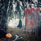 Nessiworld Led Işıklı Kahkaha Atan Sesli Sensörlü Ürpertici Kuru Kafa Kanlı Korku Hayalet Saçaklı Dekor 90x50 cm thumbnail 1