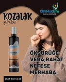 Ormixlife Kozalağı Şurubu 250 Ml - 1