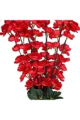 YASİMA3 ADET KIRMIZI 9 DALLI BAHAR DALI SAKSI VAZO ÇİÇEĞİ DEKOR ÜRÜNÜ thumbnail 4