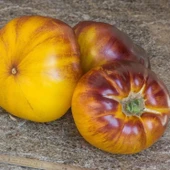 Nadir Çizgili Volvarina Domates Tohumu (15 tohum) thumbnail 1