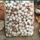 Geleneksel Ata Tohumları Empirme Sırık  Fasulye Tohumu (10 tohum thumbnail 1