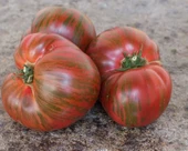 Dward Black Fire Etli Beef Domates Tohumu (10 tohum) thumbnail 2