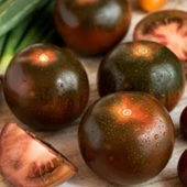 Salkım Meyveli Black Prince Domates Tohumu (15 tohum) thumbnail 2