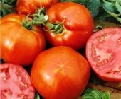 Doğal Homestead Domates Tohumu(20 tohum) thumbnail 1