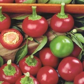 Geleneksel Red Cherry Tatlı Biber Tohumu 50 tohum) thumbnail 1