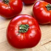 Yüksek Verimli Kırmızı Seren F1 Etli Oturak Domates Tohumu (10 tohum) thumbnail 1