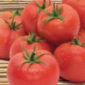 Geleneksel İnce Kabul Etli 2274 Domates Tohumu (50 tohum) thumbnail 1