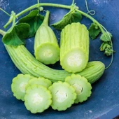 İri Meyveli Armenian Acuru Tohumu (20 adet) thumbnail 1