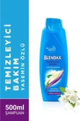 Blendax Temizleyici Bakım Yasemin Özlü Şampuan 500 ml - 1