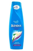 Blendax Temizleyici Bakım Yasemin Özlü Şampuan 500 ml - 2
