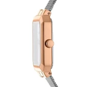 Dkny  DK1L076M0165 Kadın Kol Saati thumbnail 3