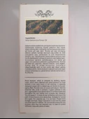 Rosella Essentıal Gül Yağı 30ml - 7