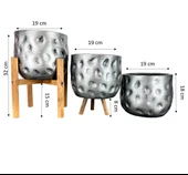 Bitki Tasarımı Ev Dekorasyon Aksesuar Gümüş Desenli Toprak Saksı Saksılık Salon Çiçeklik Üçlü Set 19 CM - 2