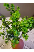 YASİMA1 ADET  MİNİK YAPRAKLI YEŞİL  YAPAY ÇİÇEK EV DEKORASYON ARANJMAN DEKOR BALKON 30 CM thumbnail 5