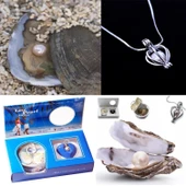 İstiridye İçinde İnci Kolye Seti TG-53-vice/(1395) 2691 - 1