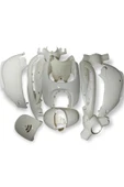 ÇELİKMOTO ASYA AS1500 OXYGEN KAPORTA SETİ (BEYAZ) #AS1500 - 1