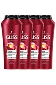 Gliss  Renk Koruyucu Şampuan 4 x 500 ML - 2