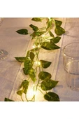 Dekoratif Yeşil Yapraklı Yapay 230cm Sarmaşık Ve 3mt Peri Led Gün Işığı - 3