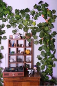 Dekoratif Yapay Sarmaşık 230cm (103) - 1