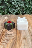 KÜP PAKET Kapaklı Silikon Kap Kalıbı - 4