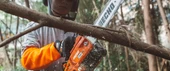 Echo CS-2511TES-C  Motorlu Testere Benzinli 1.5Hp  1/4'' - 30 diş İnce Pala - 4