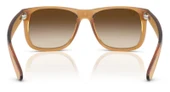 Ray-Ban RB4165 681413 55 Erkek Güneş Gözlüğü - 2