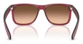 Ray-Ban RB4165 6815A5 55 Erkek Güneş Gözlüğü - 2