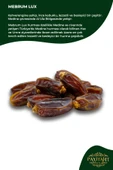 payitaht hurma Mebrum Lüks Medine Hurma 24 Paket 100GR Tadımlık Yeni Mahsül İnce Kabuklu Besleyici Dayanıklı Set - 3