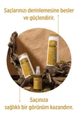 SELESTA LİFE Isırgan Otu ve Ginseng Özlü 3'lü Dökülme Karşıtı Saç Bakım Seti - Zayıf ve Dökülen Saçlar - 2