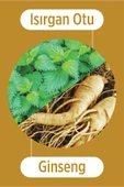 SELESTA LİFE Isırgan Otu ve Ginseng Özlü Besleyici & Koruyucu Zayıf ve Dökülen Saçlar İçin Bakım Kremi 250 ml - 3