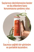 SELESTA LİFE Atkuyruğu Bitki Özü ve Provitamin B5 Özlü Onarıcı & Koruyucu Şampuan Yıpranmış Saçlar İçin 400 ml - 2
