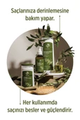 SELESTA LİFE Zeytinyağı ve Argan Yağı Özlü 3'lü Besleyici Saç Bakım Seti - Tüm Saç Tipleri İçin Bakım Seti - 2