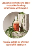 SELESTA LİFE Atkuyruğu Bitki Özü ve Provitamin B5 Özlü UV Korumalı Sıvı Saç Bakım Kremi Yıpranmış Saçlar 200 ml - 2