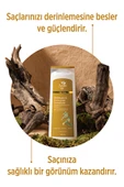SELESTA LİFE Isırgan Otu ve Ginseng Özlü Besleyici & Koruyucu Şampuan Zayıf ve Dökülen Saçlar İçin Şampuan 400 ml - 2