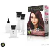 SEA COLOR 4 65 Şarap Kızılı Set Boya 2 li Kutu - 2