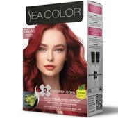 SEA COLOR 66 46 Ateş Kızılı Set Boya - 1