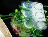 Ayak Vurma Önleyici Silikon Pedler (6 adet) U97 thumbnail 3