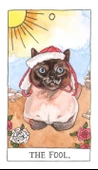 Cat Tarot 78 Cards - Kedi Tarot Kart Destesi - 6