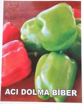 ATA TOHUMU YÖRESEL DOĞAL ACI DOLMA BİBERİ 100 AD TOHUM - 1