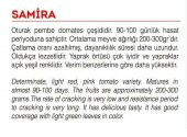 ATA TOHUMU YERLİ PEMBE KÖY DOMATESİ 100 ADET TOHUM - 2
