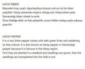 ATA TOHUMU YERLİ ÇOK ACI HATAY BİBERİ 100 AD TOHUM - 2