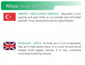 ATA TOHUMU YERLİ DOĞAL MİSKET BİBERİ 100 ADET TOHUM thumbnail 2