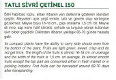 ATA TOHUMU TATLI SİVRİ ÇETİNEL BİBER 100 ADET TOHUM - 2
