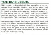 ATA TOHUMU TATLI KANDİL DOLMA BİBERİ 100 ADET TOHUM - 2